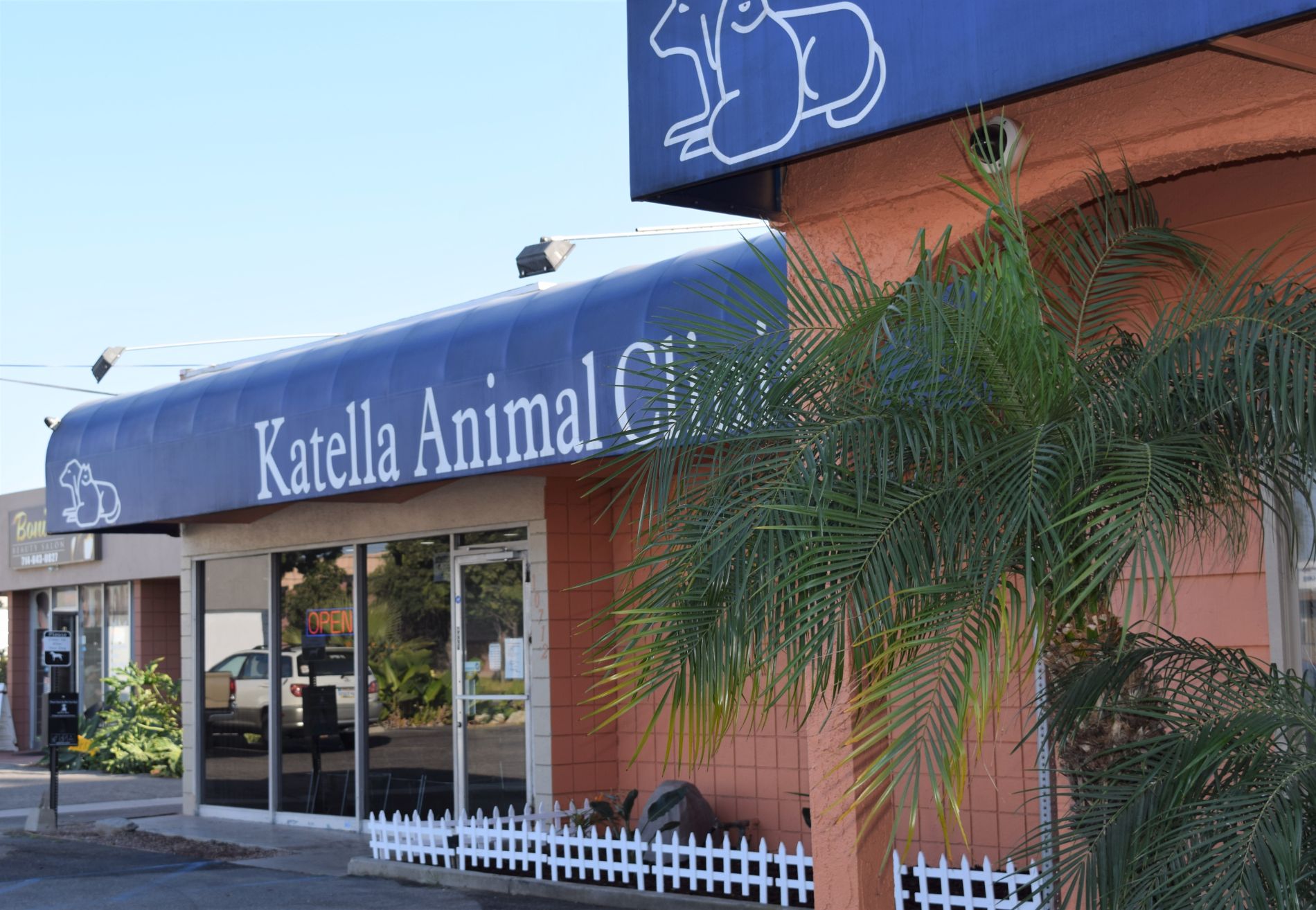 Rocklin, CA Veterinary Blog