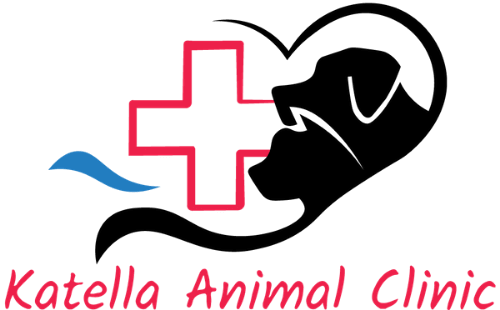 Anaheim, CA 92804 Veterinarian - Katella Animal Clinic