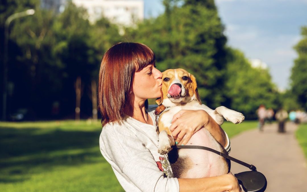 6 Tips To Being A Responsible Dog Owner