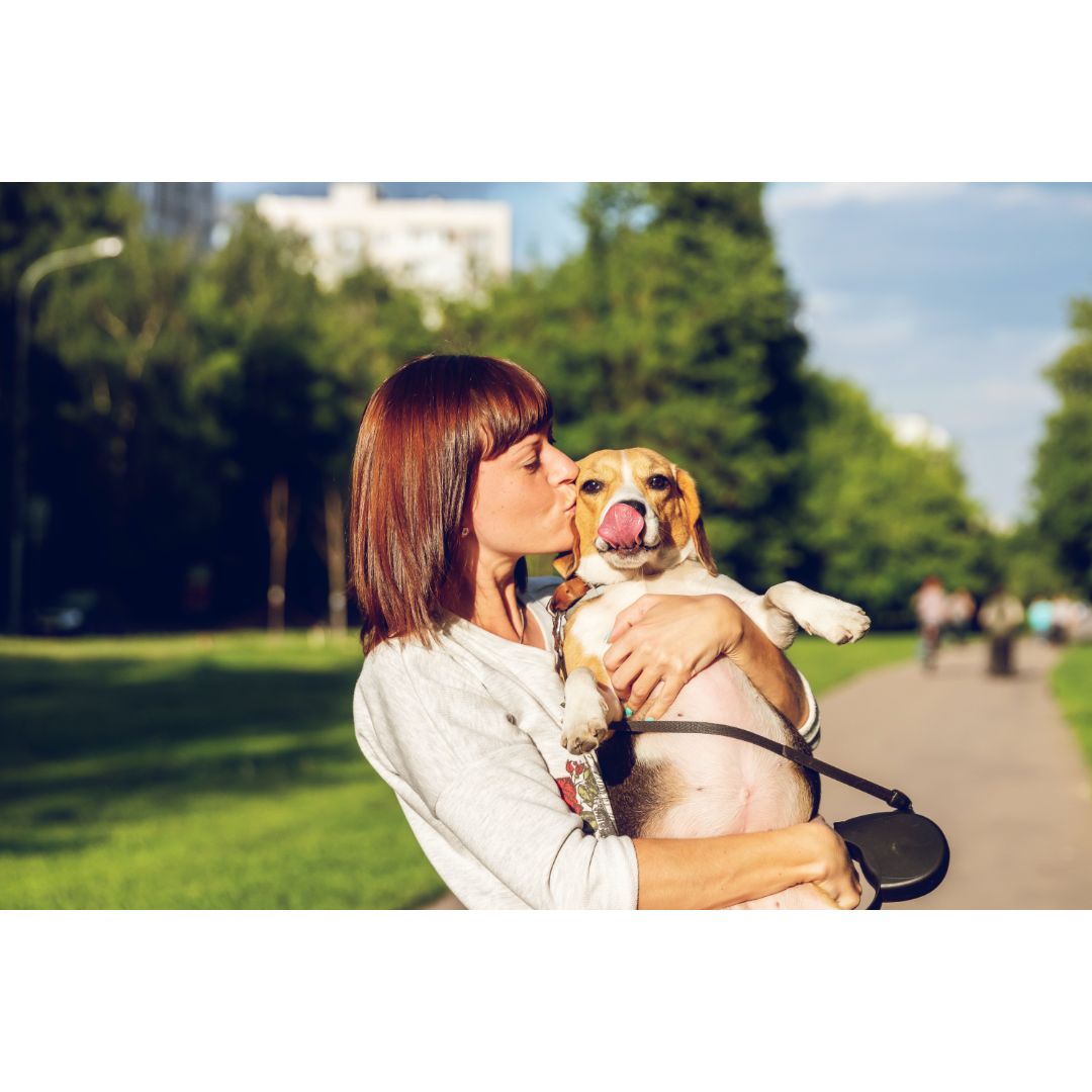 dog being held by a woman in the park