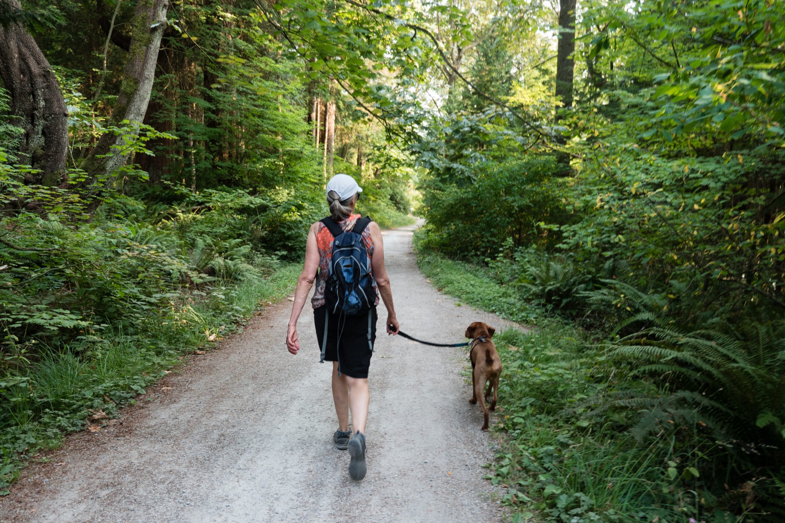 Owner and small brown dog walking on a trail